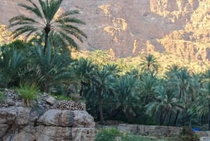 Mascate: Aventura de canyoning em Wadi Mibam com rapel