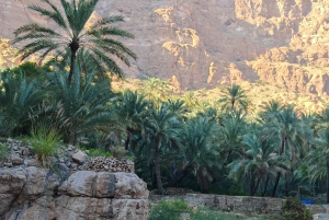 مسقط: مغامرة التجديف في وادي ميبام مع الصعود على الصخور