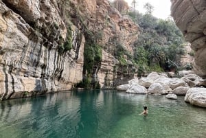 Mascate: tour privato di un'intera giornata a Wadi Mibam in auto 4x4