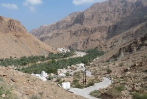 Mascate: tour privato di un'intera giornata a Wadi Mibam in auto 4x4