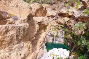 Mascate: tour privato di un'intera giornata a Wadi Mibam in auto 4x4