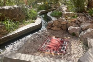 Muscat: Wadi Mibam, Sur och Bimmah Sinkhole dagsutflykt