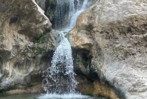 Muscat: Wadi Mibam, Sur och Bimmah Sinkhole dagsutflykt