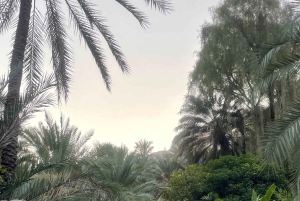 Muscat: Wadi Mibam, Sur och Bimmah Sinkhole dagsutflykt