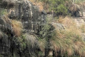 Muscat: Wadi Mibam, Sur och Bimmah Sinkhole dagsutflykt
