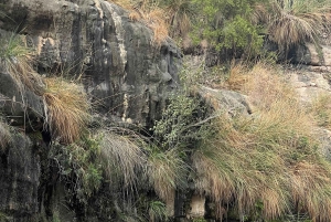 Mascate: passeio de um dia a Wadi Mibam, Sur e Bimmah Sinkhole