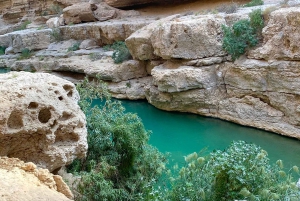 Muscat: Wadi Shab dagstur med henting på hotellet