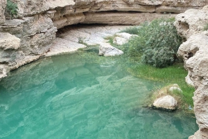 Muscat: Wadi Shab dagstur med henting på hotellet