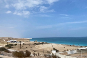 Muscat: Wadi Shab dagstur med henting på hotellet