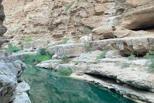 Muscat: Wadi Shab dagstur med henting på hotellet