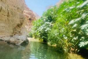 Mascate : visite d'une journée de Wadi Shab avec prise en charge à l'hôtel