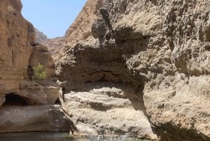 Mascate : visite d'une journée de Wadi Shab avec prise en charge à l'hôtel