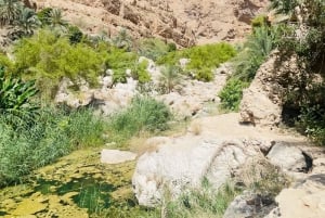 Mascate : visite d'une journée de Wadi Shab avec prise en charge à l'hôtel