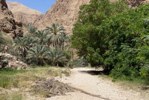 Muscat: Wadi Shab, Romantische Höhle und Sinkhole Ganztägige Tour