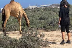 Muscat: Wadi Shab, Romantische Höhle und Sinkhole Ganztägige Tour