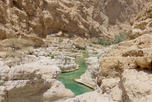 Muscat: Wadi Shab, romanttinen luola ja sinkhole -koko päivän retki