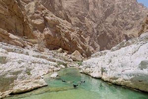 Muscat: Wadi Shab, romanttinen luola ja sinkhole -koko päivän retki