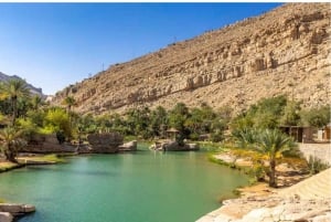 Muscat: Wadi Shab, Wahiba Sands, and Wadi Bani Khalid Tour