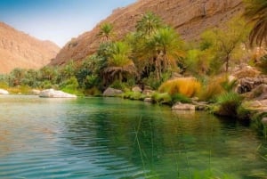 Muscat: Wadi Shab, Wahiba Sands, and Wadi Bani Khalid Tour