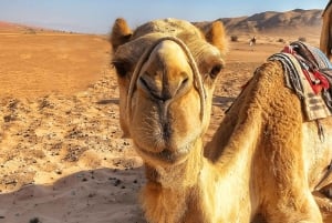 Muscat: Wahiba-Wüste und Wadi Bani Khalid Geführte Gruppentour