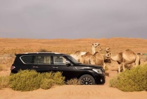 Mascate: Excursión guiada en grupo por el desierto de Wahiba y el Wadi Bani Khalid