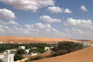 Muscat: Wahiba Desert & Wadi Bani khalid Private Tour+Lunch