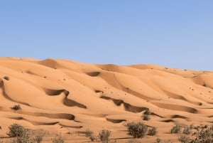 Muscat: Wahiba Sands Desert Sunset Tour with Dinner