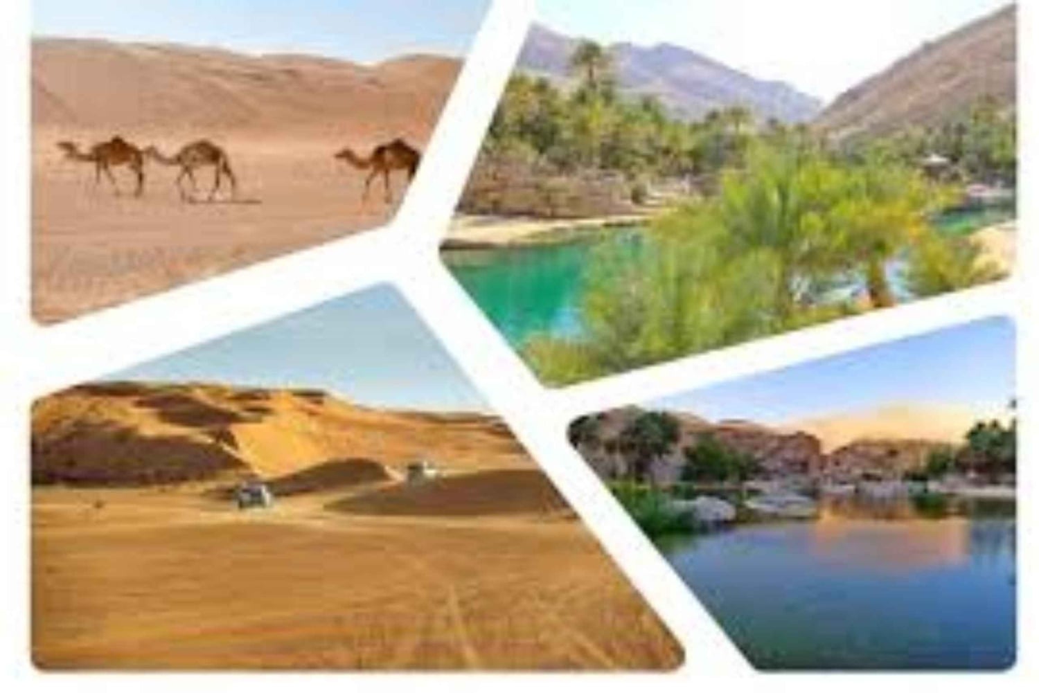 Mascate : visite du désert de Wahiba Sands et du groupe Wadi Bani Khalid