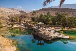 Mascate : visite du désert de Wahiba Sands et du groupe Wadi Bani Khalid