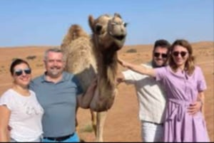 Mascate : visite du désert de Wahiba Sands et du groupe Wadi Bani Khalid