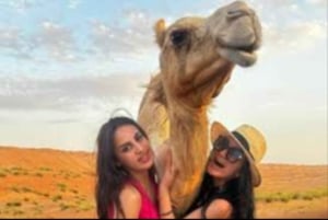 Mascate : visite du désert de Wahiba Sands et du groupe Wadi Bani Khalid