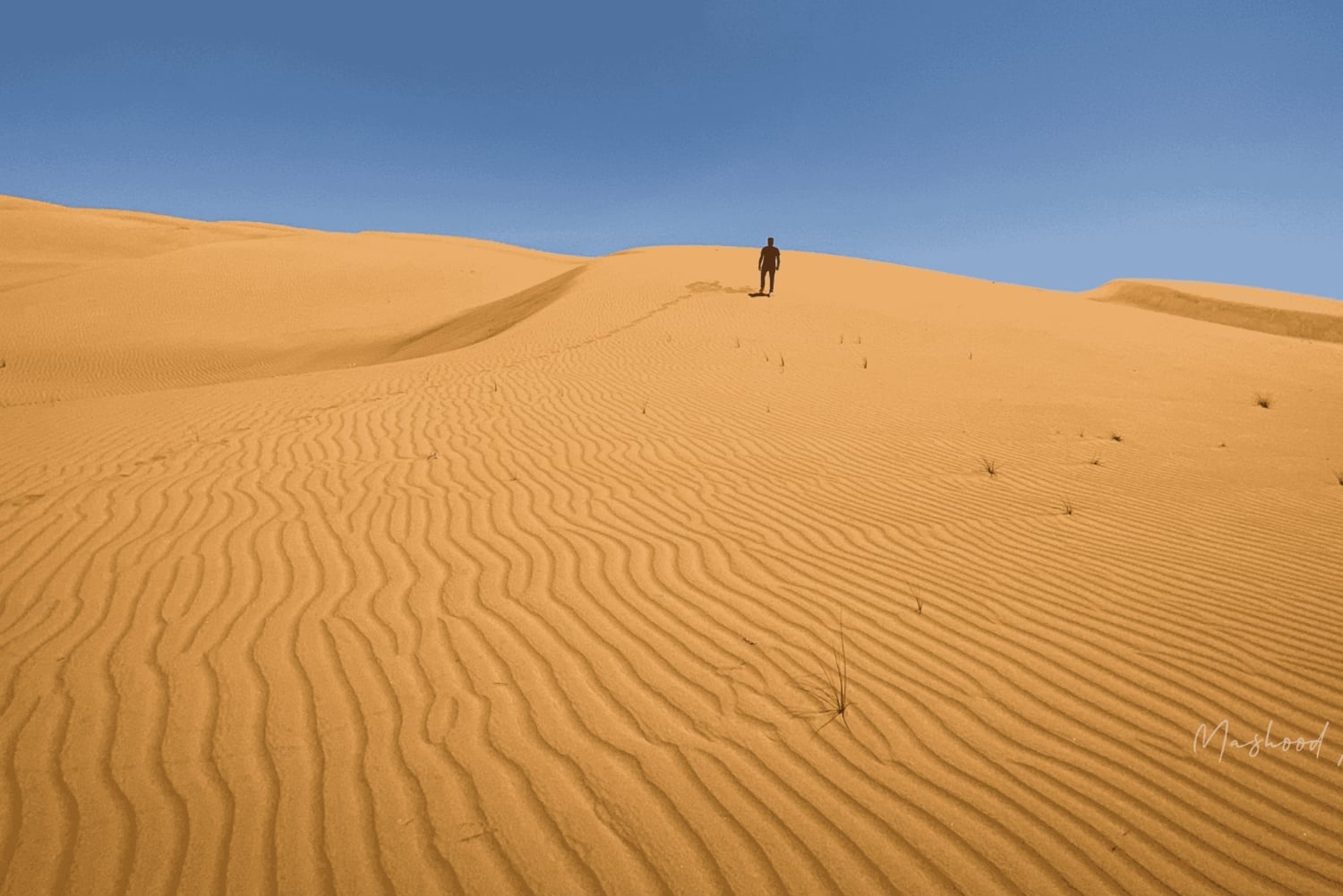 Muscat: Wahiba Sands Desert & Wadi Bani Khalid Full Day Tour