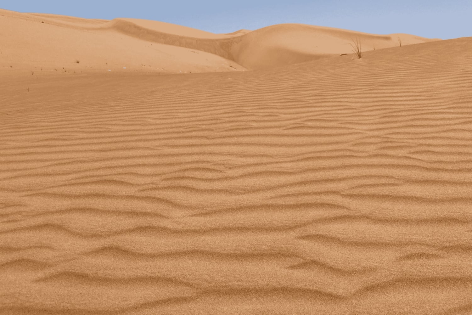 Muscat: Wahiba Sands Desert & Wadi Bani Khalid Full Day Tour