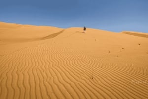 Muscat: Wahiba Sands Desert & Wadi Bani Khalid Full Day Tour