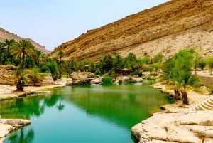 Muscat: Wahiba Sands Desert & Wadi Bani Khalid Full Day Tour