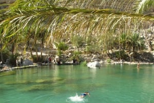 Muscat: Wahiba Sands Desert & Wadi Bani Khalid Full Day Tour