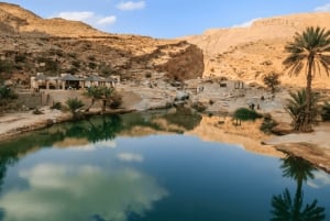 Muscat: Wahiba Sands Desert & Wadi Bani Khalid Full Day Tour