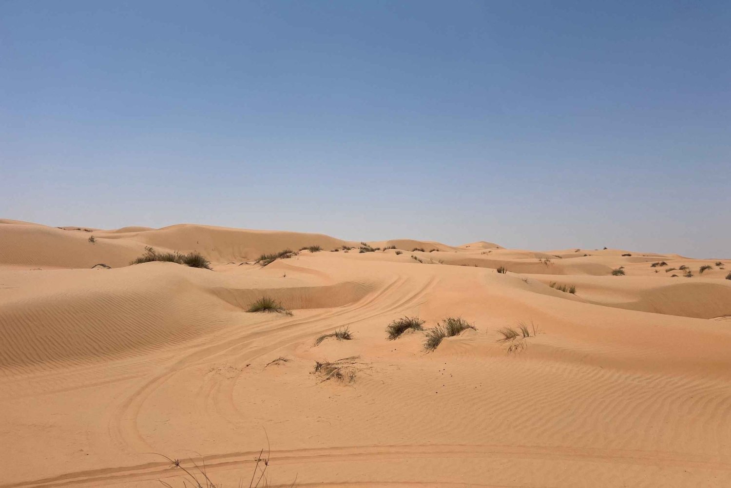 Muscat: Wahiba Sands, Wadi Bani Khalid og Mudayrib-tur