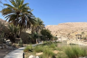 Muscat: Wahiba Sands, Wadi Bani Khalid og Mudayrib-tur