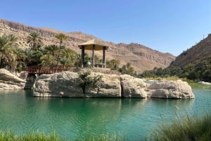 Muscat: Wahiba Sands, Wadi Bani Khalid og Mudayrib-tur