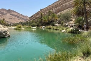 Muscat: Wahiba Sands, Wadi Bani Khalid og Mudayrib-tur