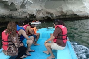 رحلة سفاري بحرية لمدة يوم كامل في جزيرة مسندم الصوفية