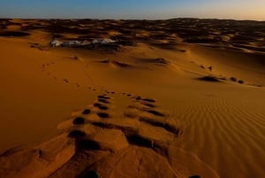 Night in the Desert Overnight Camping in Salalah