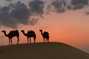 Ночь в пустыне. Ночевка в кемпинге в Салале.