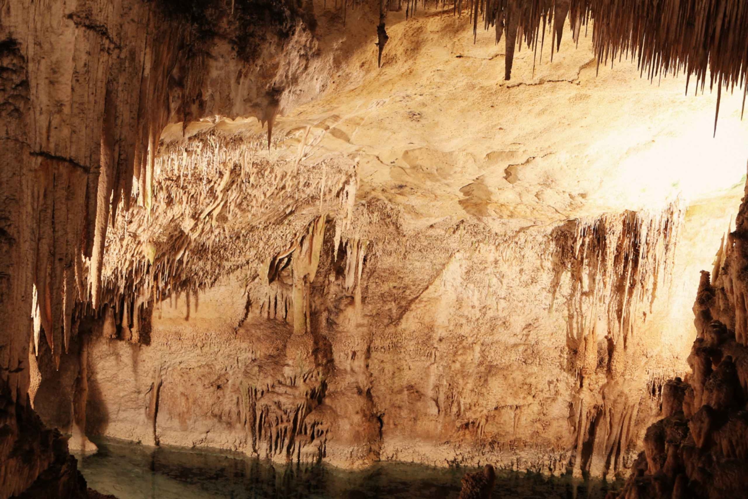 Nizwa i jaskinie Al Hoota: Jednodniowa wycieczka z Muscat