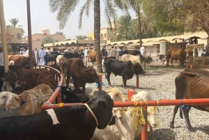 Nizwa Friday Market: Unveiling Oman's Traditional Treasures