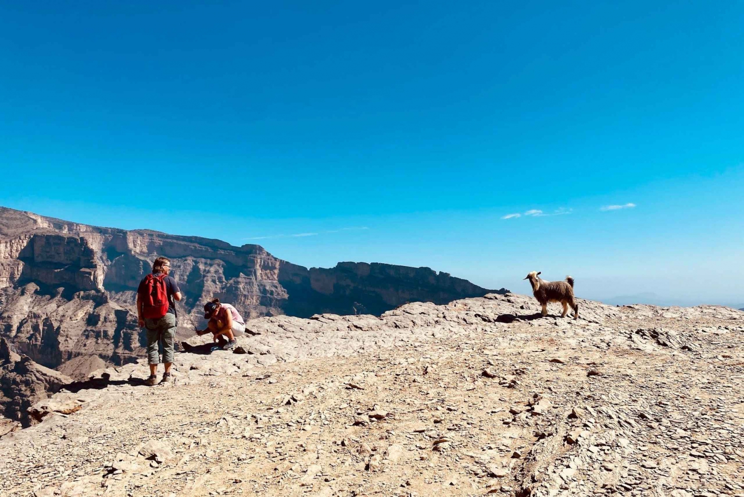 Nizwa: Caminhada na varanda de Jebel Shams e aventura na Via Ferrata