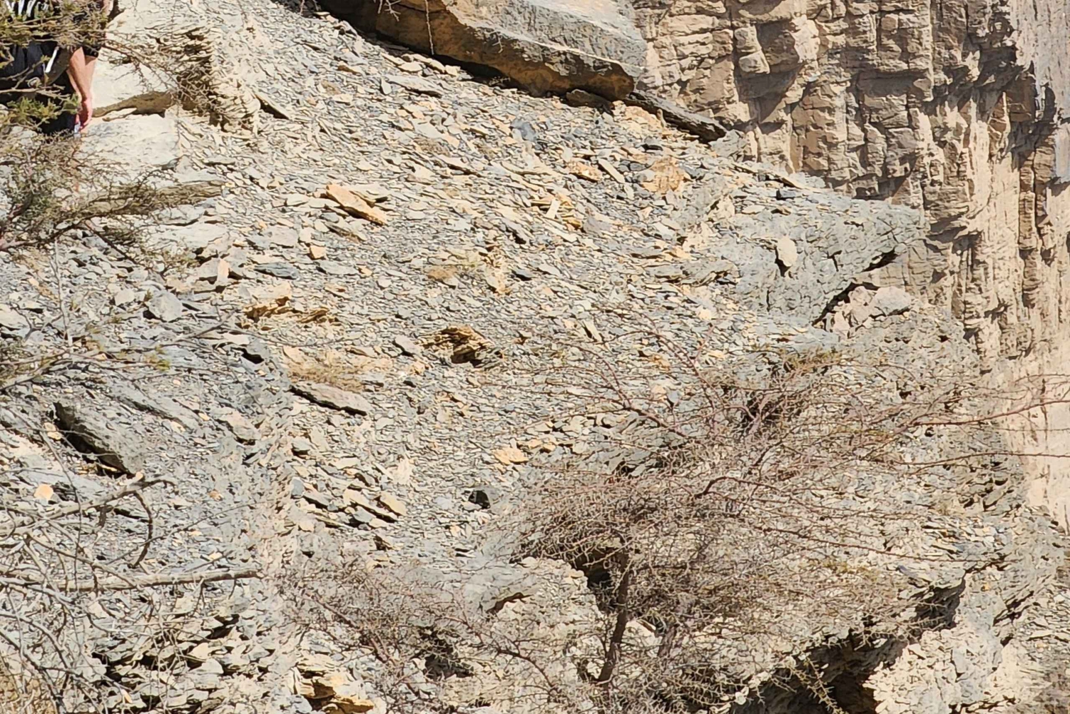 Низва, Мисфат-эль-Абриен и Гранд-Каньон