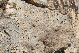 Низва, Мисфат-эль-Абриен и Гранд-Каньон