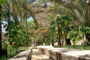 Nizwa: Nizwa Fort and Birkat Al Mouz Guided Tour